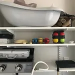 1950 Piscine Et Spa- Gerardmer - Terrain Entierement Clos Pour Animaux Apartmán