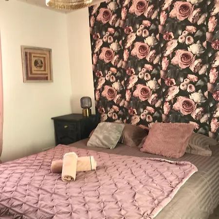 1950 Piscine Et Spa- Gérardmer - Terrain Entièrement Clos Pour Animaux * Anould