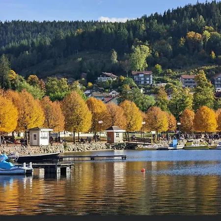1950 Detente Et Decouverte Avec Et Piscine Exterieure Διαμέρισμα Anould