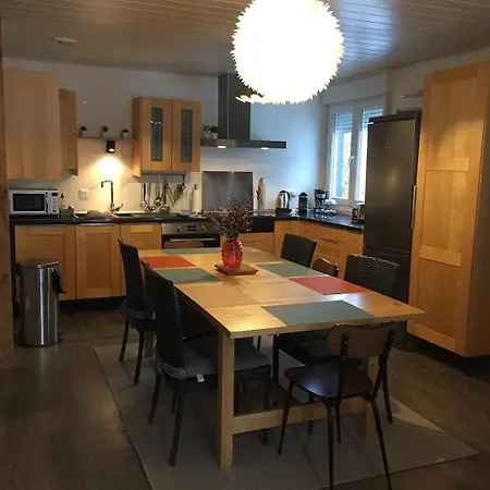 Apartamento 1950 Détente Et Découverte Avec Et Piscine Extérieure Anould