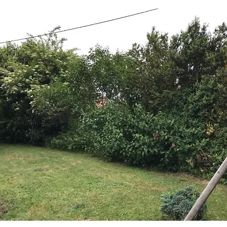 1950 Detente Et Decouverte Avec Et Piscine Exterieure Διαμέρισμα Anould