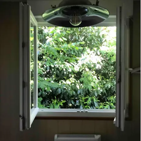1950 Piscine Et Spa- Gérardmer - Terrain Entièrement Clos Pour Animaux Appartement *