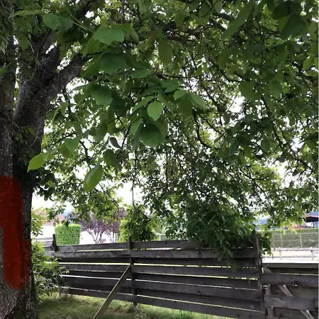Apartamento 1950 Détente Et Découverte Avec Et Piscine Extérieure Anould