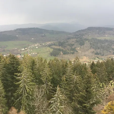 아파트 1950 Piscine Et Spa- Gerardmer - Terrain Entierement Clos Pour Animaux