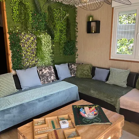 1950 Piscine Et Spa- Gerardmer - Terrain Entierement Clos Pour Animaux * Anould