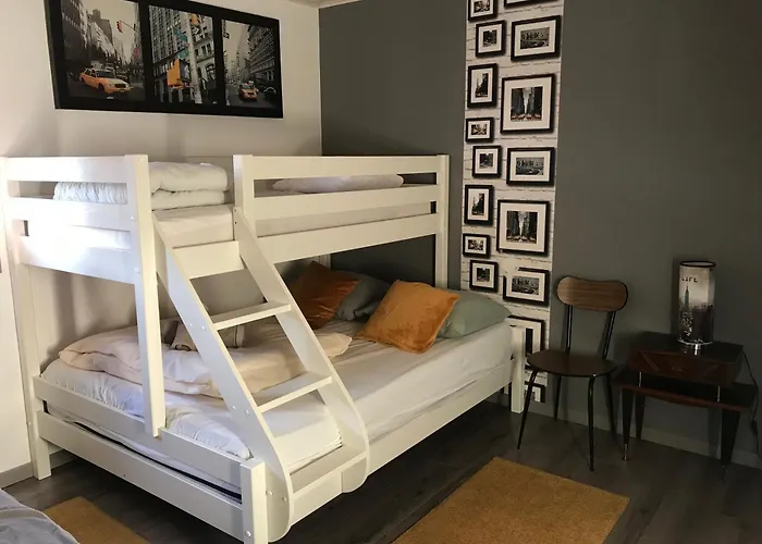 1950 Piscine Et Spa- Gerardmer - Terrain Entierement Clos Pour Animaux