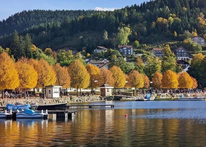 1950 Piscine Et Spa- Gerardmer - Terrain Entierement Clos Pour Animaux 아파트 Anould