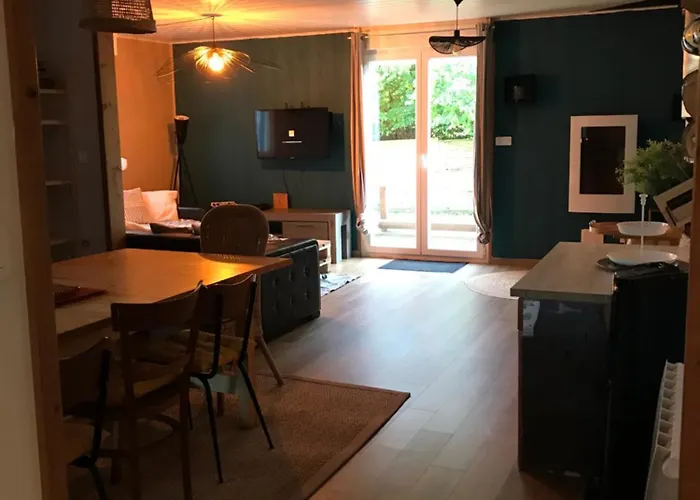 1950 Piscine Et Spa- Gerardmer - Terrain Entierement Clos Pour Animaux