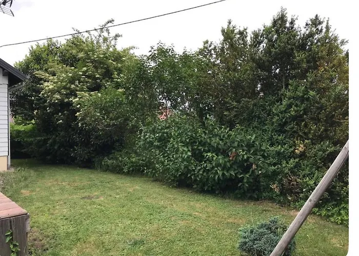 1950 Detente Et Decouverte Avec Et Piscine Exterieure 公寓 Anould