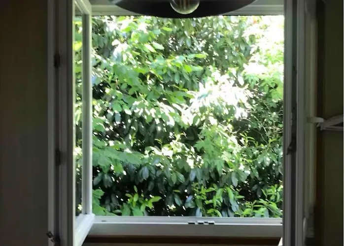 1950 Detente Et Decouverte Avec Et Piscine Exterieure Apartment *