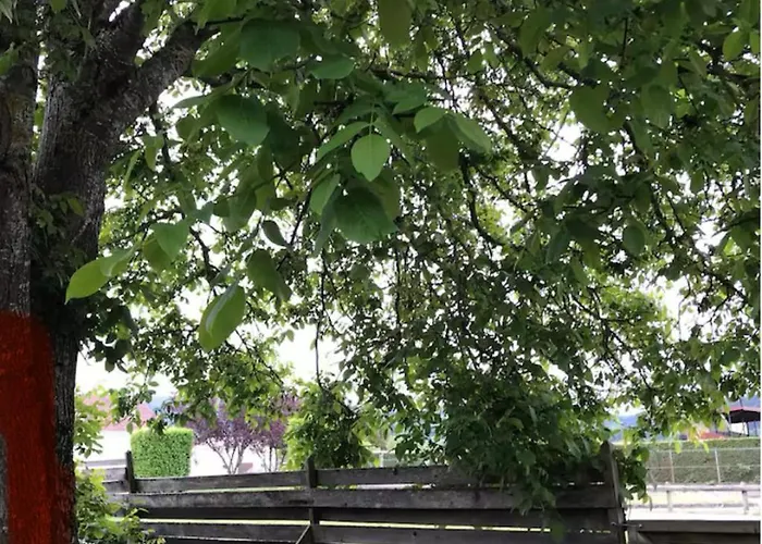 Apartment 1950 Detente Et Decouverte Avec Et Piscine Exterieure Anould