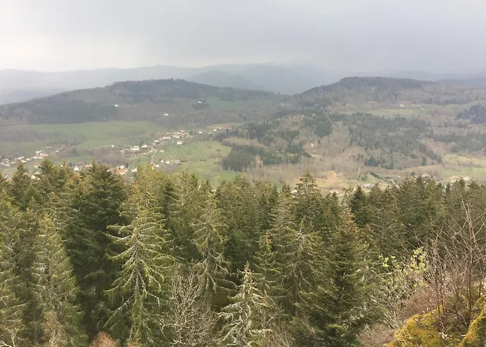 아파트 1950 Piscine Et Spa- Gerardmer - Terrain Entierement Clos Pour Animaux