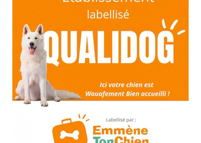 아파트 1950 Piscine Et Spa- Gerardmer - Terrain Entierement Clos Pour Animaux Anould