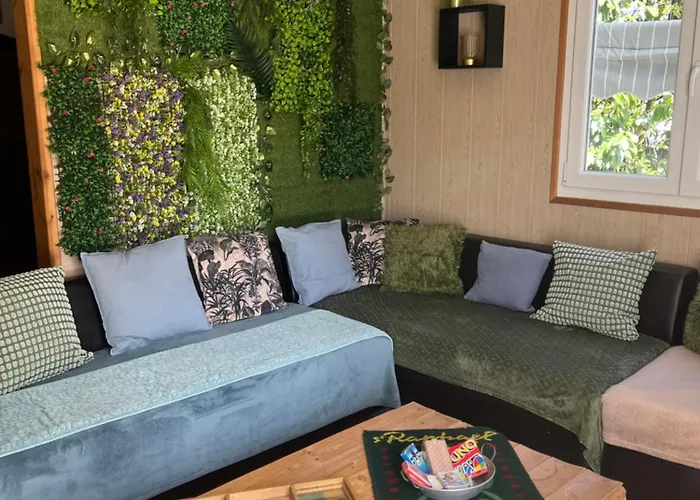 1950 Piscine Et Spa- Gerardmer - Terrain Entierement Clos Pour Animaux * Anould